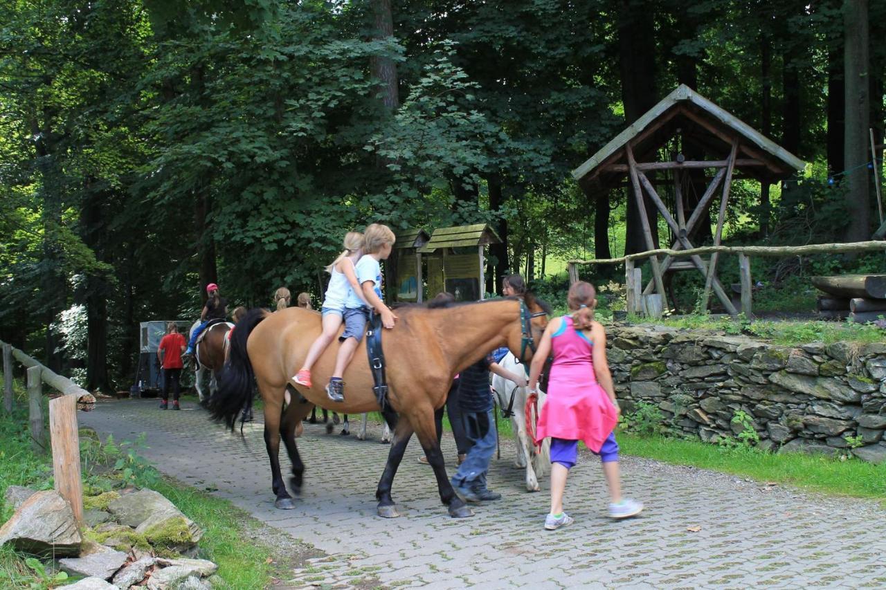 Appartements Im "Landhaus Am Frohnauer Hammer" Annaberg-Buchholz Esterno foto